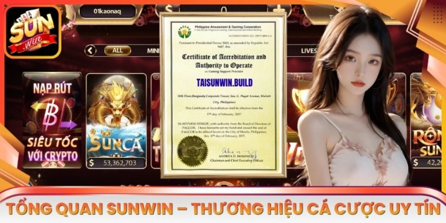 Tổng quan Sunwin – Thương hiệu cá cược uy tín từ 2016